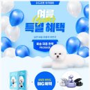 오드리 펫 이미지