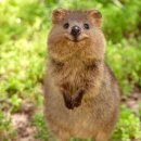 내가좋아하는 이미지