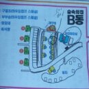 천보산자연휴양림캠핑장 이미지