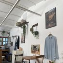 강릉애견하우스 이미지