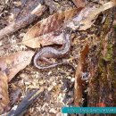 이소농장 이미지