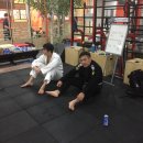 코리아 유도 짐 이미지