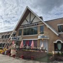 벤첼리 | 춘천 카페, 댕댕이와 행복한 추억 만들기