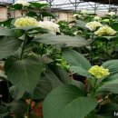 무정농장 이미지