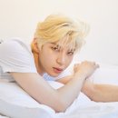 레오 이미지