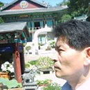 참솔기획 이미지