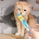 정은환경 이미지