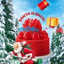 크리스마스 케이크 만들기 이미지