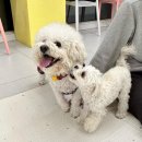 멈머즈 이미지