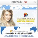 로얄전자 네이버블로그