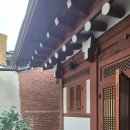 아담한가 이미지