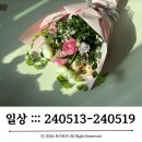 인계동 995-7 | 일상 ::: 240513-240519