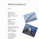 알바트로스(Albatross)* 이미지