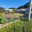 탑동회관 이미지