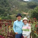 입석2리 이미지