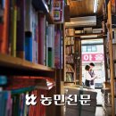 [영화처럼 드라마처럼] 인천 동구, “날이 좋아서, 적당해서…모든 풍경이 좋았다” 이미지