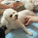 원할머니보쌈족발구파발 이미지