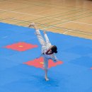 유나이티드 다온태권도장 이미지