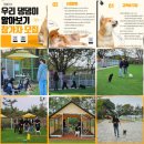 대림택시㈜ 평산점 | 제천시민들, 중국발 코로나19 엔데믹(풍토병화) 대응-제천시보건소, 모바일 걷기운동앱 워크온 금주구역...