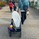 오마이펫 | 뚝섬 텐트 대여 써니텐트 추천 강아지랑 한강 텐트설치가능시간