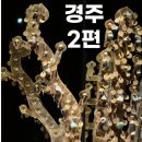 알천조경 | 풍년🤓일단 CLICK!!:경주박물관, 문무대왕릉, 알천미술관, 사룡굴, 우마왕 한우육회컵 경주밀면본점 후기+팁