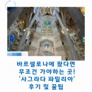 파밀리아 | 바르셀로나에 왔다면 무조건 가야하는 곳! '사그라다 파밀리아' 후기 및 꿀팁
