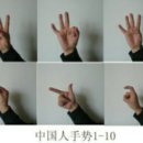 汉语数字手势ㅡ 중국어숫자 수화 이미지