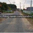 진전면949 이미지