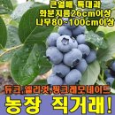 예성팜 이미지