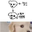 (주)리앤컴퍼니