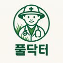 연천읍-4 | 연천군 연천읍 가정주택 예초·제초 작업 후기 🌿