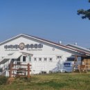 궁평항로 이미지