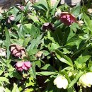 창건농장3 이미지