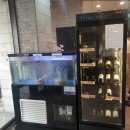 더건강한한우프라자 이미지