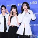 피어나 이미지