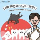 내포탑치과의원 네이버블로그