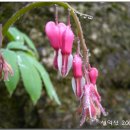 원진민박 이미지