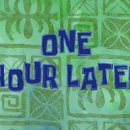 개 편한 애견샵 이미지