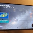 그루밍제주 이미지