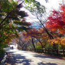 산책길-1 네이버블로그