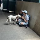 라스트킥 태권도 | New york, New york