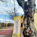 효돈동-5 이미지