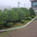 한솔산업 주변 이미지