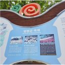 군산(무안)휴게소 드롭탑 | 함평나비휴게 광주방향 고속도로 휴게소 아침식사