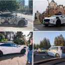 선은식농장 이미지