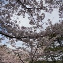 해동핼스클럽 이미지