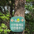 인천둘레길 2코스(천마산) 혼자 트레킹 비추