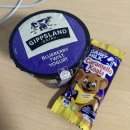 NNN BOXING | 시드니로그🇦🇺🐨🦘