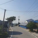 신례원 시가지 티스토리