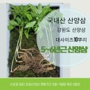 칠전농장 이미지